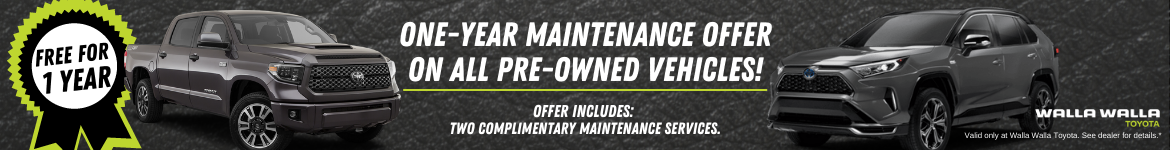 One-Year Maintenance Offer