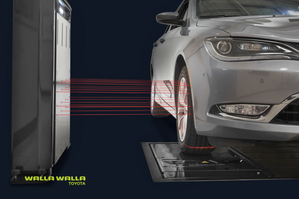 Free Alignment Check